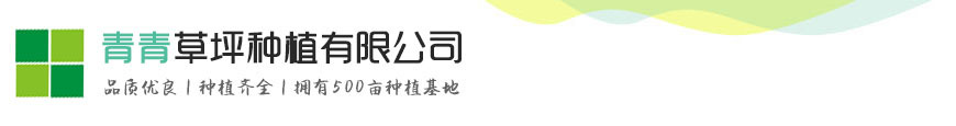 彩神vl(中国)有限公司